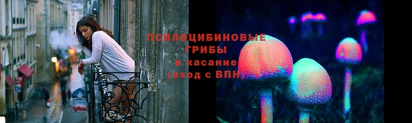 прущие грибы Киренск