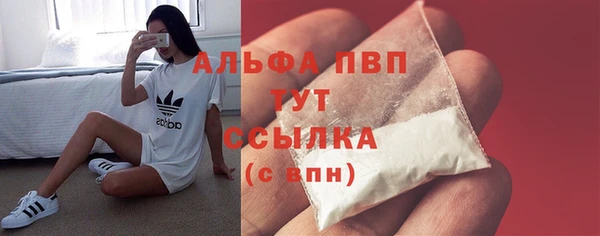 сатива Киреевск