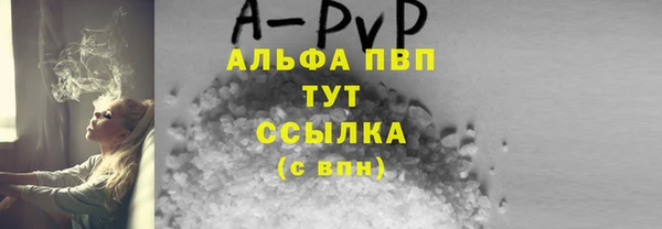 прущие грибы Киренск