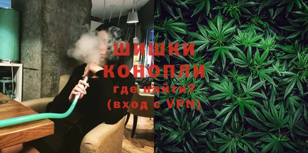 сатива Киреевск