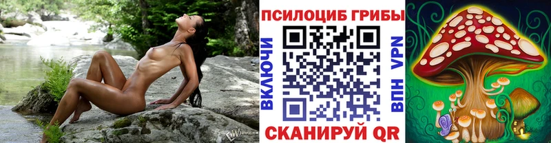 Галлюциногенные грибы прущие грибы  Купить где  Беломорск 